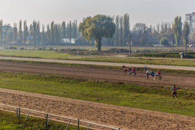 Güzel Ukrayna. Kiev hipodromu. 27 Ekim 2019