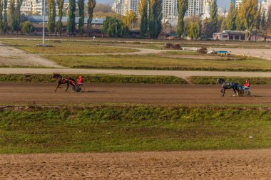 Güzel Ukrayna. Kiev hipodromu. 27 Ekim 2019