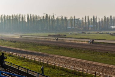 Güzel Ukrayna. Kiev hipodromu. 27 Ekim 2019