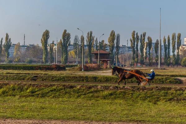 Güzel Ukrayna. Kiev hipodromu. 27 Ekim 2019 — Stok fotoğraf