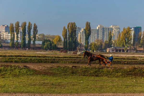 Όμορφη Ουκρανία. Ιππόδρομο Κιέβου. 27 Οκτωβρίου 2019 — Φωτογραφία Αρχείου