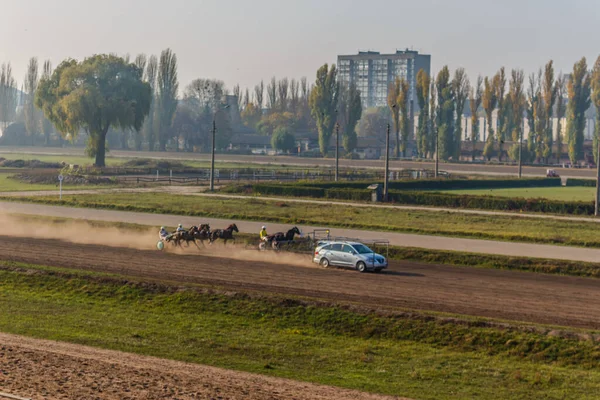 Güzel Ukrayna. Kiev hipodromu. 27 Ekim 2019 — Stok fotoğraf