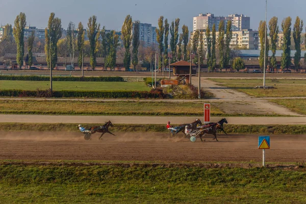 Güzel Ukrayna. Kiev hipodromu. 27 Ekim 2019 — Stok fotoğraf