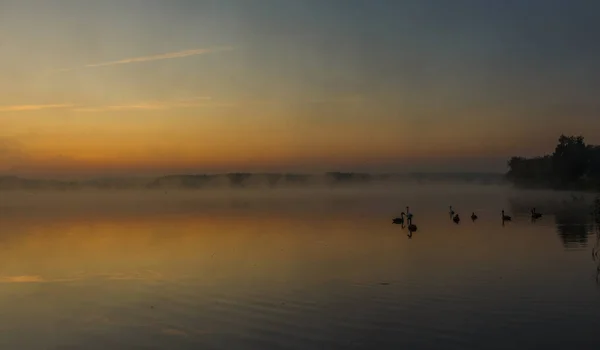 湖上的日出。 基辅地区。 乌克兰- 2019年9月9日 — 图库照片