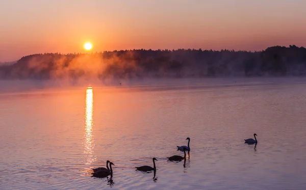 Nascer do sol no lago. Região de Kiev. Ucrânia - 09 setembro 2019 — Fotografia de Stock