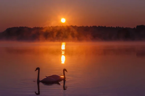 Sonnenaufgang über dem See. Kiewer Gebiet. Ukraine - 09. September 2019 — Stockfoto