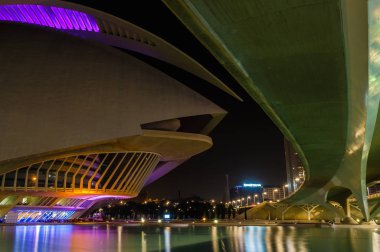 Gece yürüyüşü. Sanat ve Bilim Şehri 'nde. Valencia İspanya. 21 02 2019