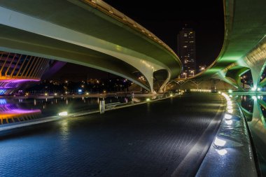 Gece yürüyüşü. Sanat ve Bilim Şehri 'nde. Valencia İspanya. 21 02 2019