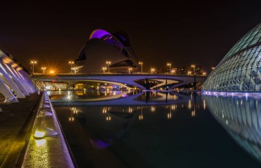 Gece yürüyüşü. Sanat ve Bilim Şehri 'nde. Valencia İspanya. 21 02 2019