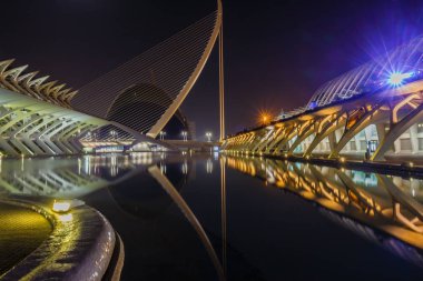 Gece yürüyüşü. Sanat ve Bilim Şehri 'nde. Valencia İspanya. 21 02 2019