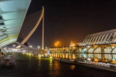 Gece yürüyüşü. Sanat ve Bilim Şehri 'nde. Valencia İspanya. 21 02 2019