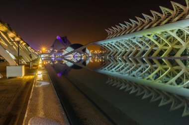 Gece yürüyüşü. Sanat ve Bilim Şehri 'nde. Valencia İspanya. 21 02 2019