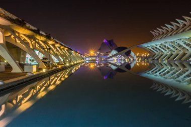 Gece yürüyüşü. Sanat ve Bilim Şehri 'nde. Valencia İspanya. 21 02 2019