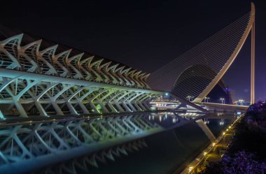Gece yürüyüşü. Sanat ve Bilim Şehri 'nde. Valencia İspanya. 21 02 2019
