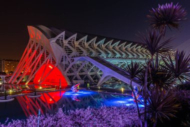 Gece yürüyüşü. Sanat ve Bilim Şehri 'nde. Valencia İspanya. 21 02 2019