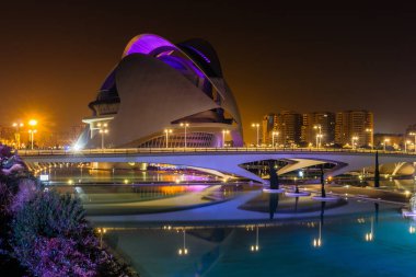 Gece yürüyüşü. Sanat ve Bilim Şehri 'nde. Valencia İspanya. 21 02 2019