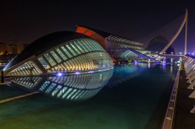 Gece yürüyüşü. Sanat ve Bilim Şehri 'nde. Valencia İspanya. 21 02 2019