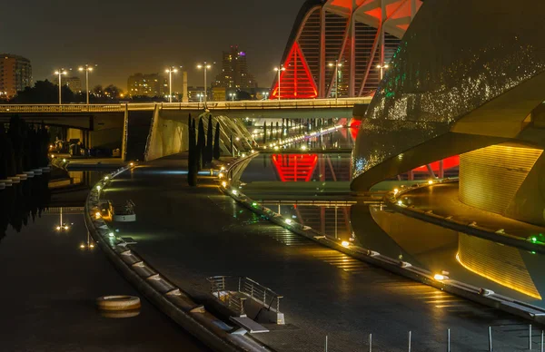 Night walk. City of Arts and Sciences. Valencia Spain. 21 02 2019 — Stock Photo, Image