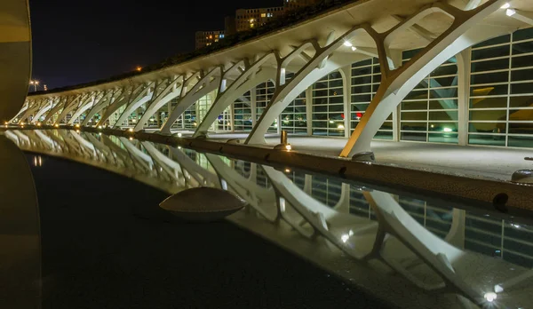 夜の散歩芸術科学都市。バレンシアスペイン。2019年02月21日 — ストック写真