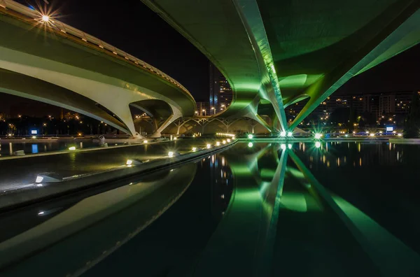 Gece yürüyüşü. Sanat ve Bilim Şehri 'nde. Valencia İspanya. 21 02 2019