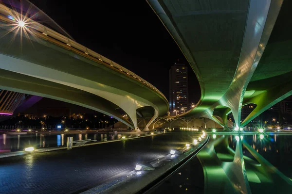 夜の散歩芸術科学都市。バレンシアスペイン。2019年02月21日 — ストック写真