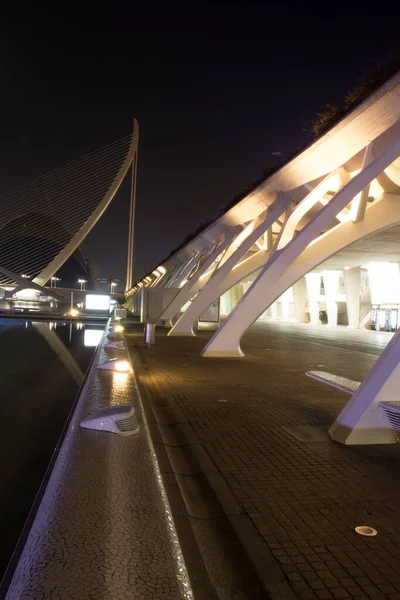 夜の散歩芸術科学都市。バレンシアスペイン。2019年02月21日 — ストック写真