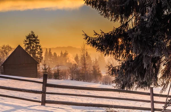 Noel zamanı. Bukovel 'de büyüleyici bir gün doğumu. Palyanitsa köyü. Ukraynalı Karpatlar. 07 numara. 01 numara. 2020