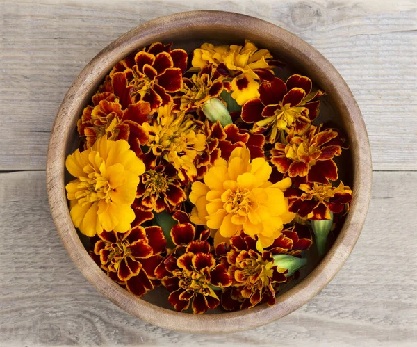 Souci Fleur Dans Bol Bois Tagetes Erecta Marigolets Mexicains Aztèques — Photo