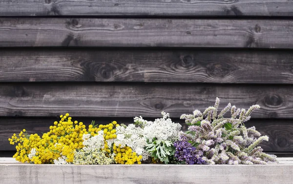 Fresh Flowering Herbs Garden Wooden Rustic Background — Stock Photo, Image