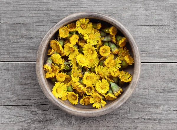 Hufeisen Einer Holzschale Blumen Huflattich Zum Trocknen Gesammelt Pflanzliche Medizin — Stockfoto