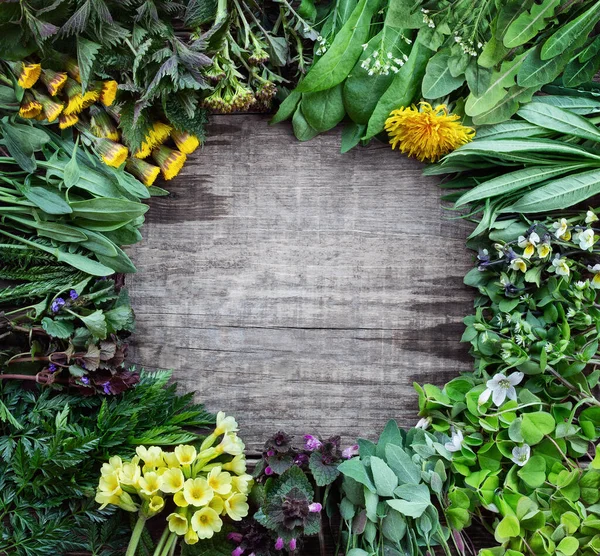 可食用的植物和花卉在木制的乡村背景与复制空间的文字 药草和野生食用植物在早春生长 — 图库照片
