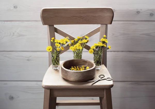 Λουλούδια Coltsfoot Μια Καρέκλα Συλλογή Βοτάνων Για Ξήρανση — Φωτογραφία Αρχείου