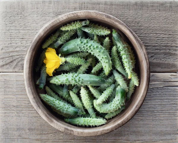 Cucumbers Wooden Bowl Small Cucumbers Gherkins Garden Young Cucumber Flower — Stock Photo, Image