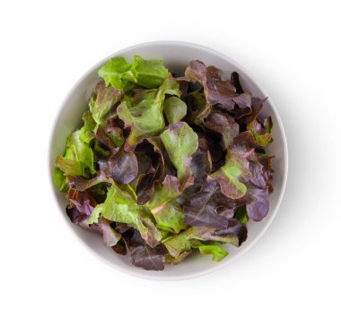 Beyaz arka planda kırmızı meşe marulu. en üstteki görünüm