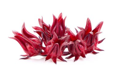 Beyaz arka plan üzerinde Roselle ebegümeci