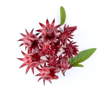 Beyaz arkaplan görünümlü Roselle hibiscus yaprağı