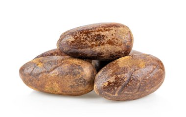 Hindistan cevizi beyaz arkaplanda izole edildi