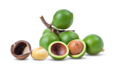 Beyaz arka planda yalıtılmış Macadamia fındıkları. tam alan derinliği
