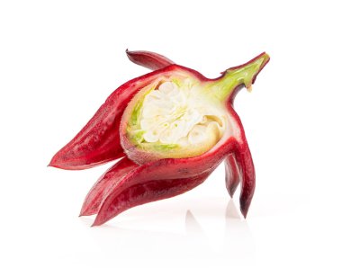 Beyaz arka planda izole edilmiş taze Roselle amber çiçeği.