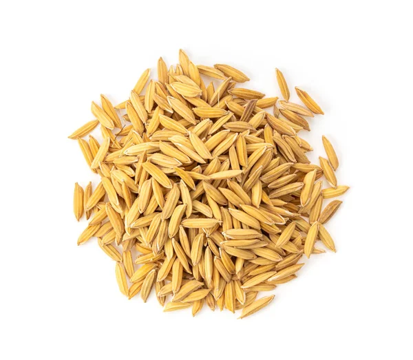 Arroz Paddy Semente Vista Superior Jasmim Tailandês Vista Superior — Fotografia de Stock