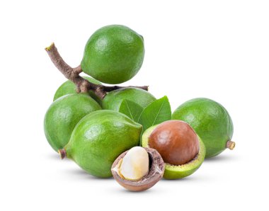 Beyaz arka planda yaprağı olan Macadamia fındıkları. tam alan derinliği