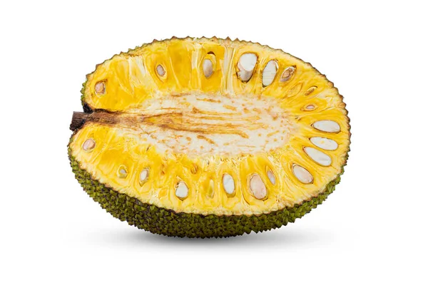 Jackfruit Geïsoleerd Witte Achtergrond — Stockfoto