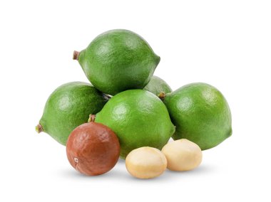 Beyaz arka planda yalıtılmış Macadamia fındıkları. tam alan derinliği