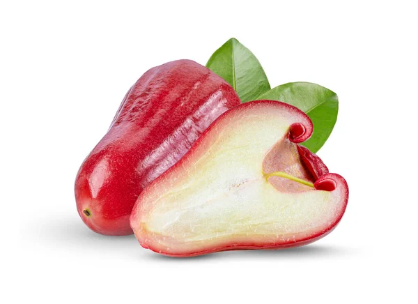 Rose Apple Leaf Isolated White Background Full Depth Field — Stock Photo, Image