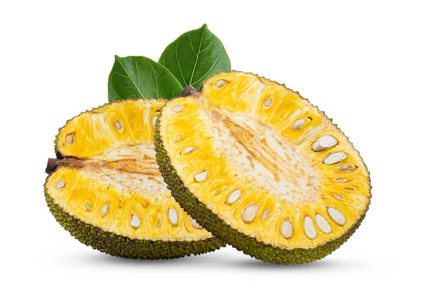 Jackfruit Leaf Isolated White Background — Stock Photo, Image