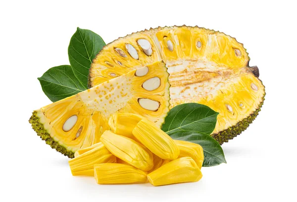 Beyaz arkaplanda yapraklı Jackfruit 