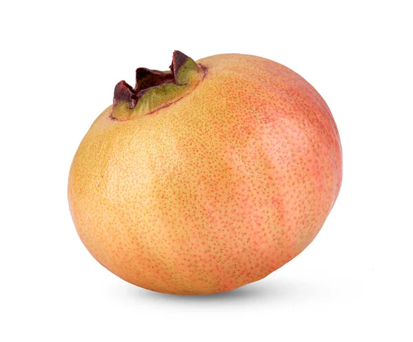 Syzygium Jambos Vagy Rose Apple Elszigetelt Fehér Background — Stock Fotó