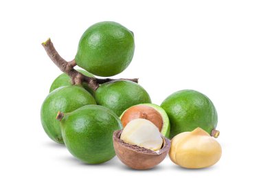 Beyaz arka planda yalıtılmış Macadamia fındıkları. tam alan derinliği