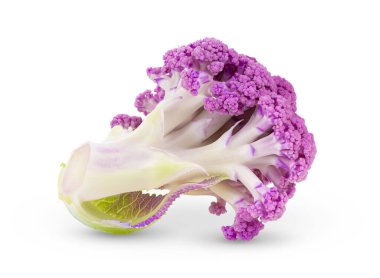 Beyaz arkaplanda mor karnabahar