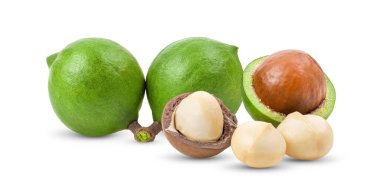 Beyaz arka planda yalıtılmış Macadamia fındıkları. tam alan derinliği